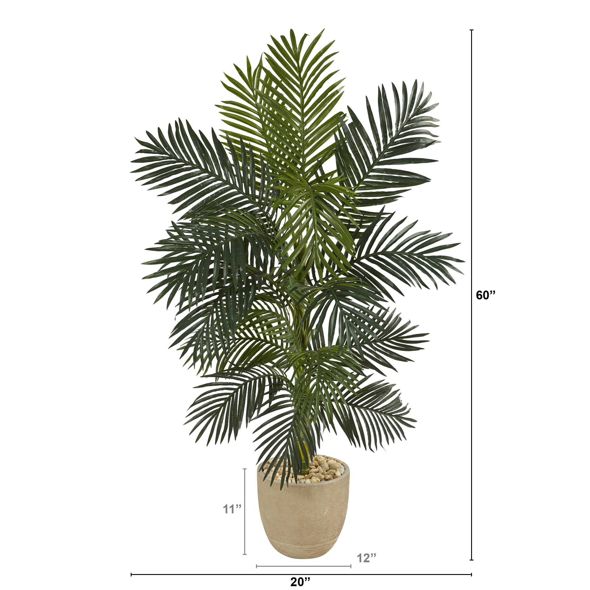 5ft. Golden Cane Palm Tree in Sandstone Planter